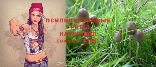 трава Абинск