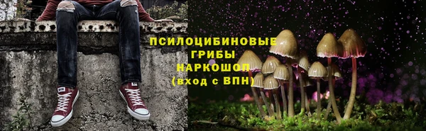 трава Абинск