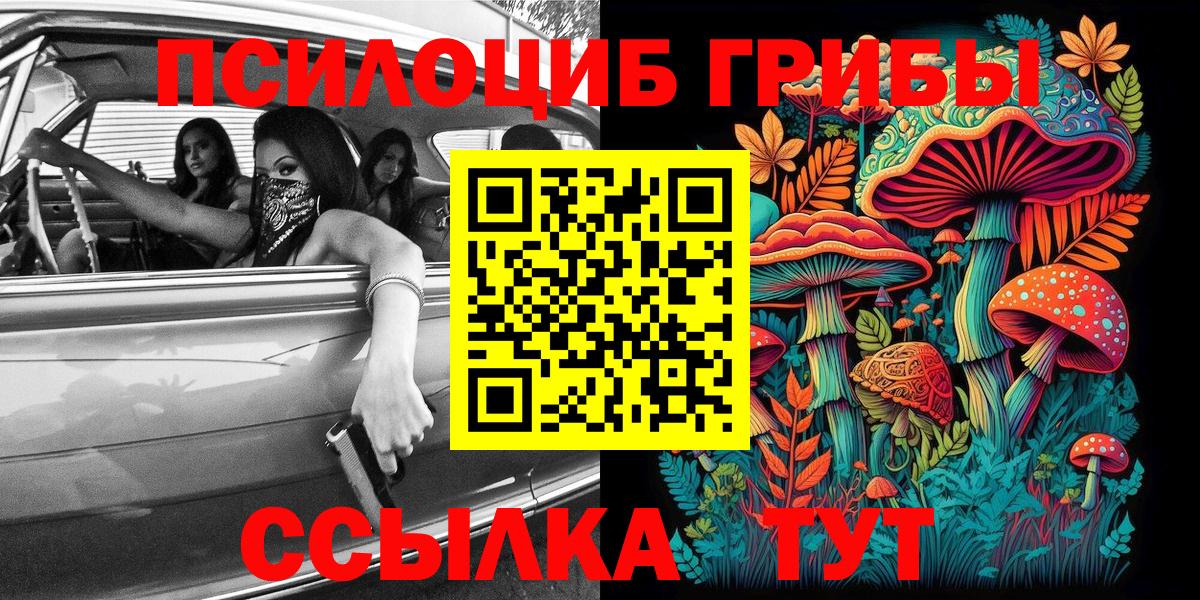 Галлюциногенные грибы Cubensis Тюмень